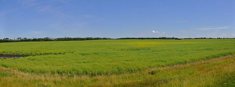 Farming_Lamont_Alberta_Canada_-_panoramio
