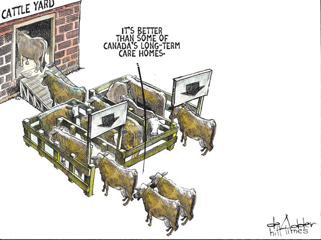 052720_cartoon.jpg 052720_cartoon.jpg