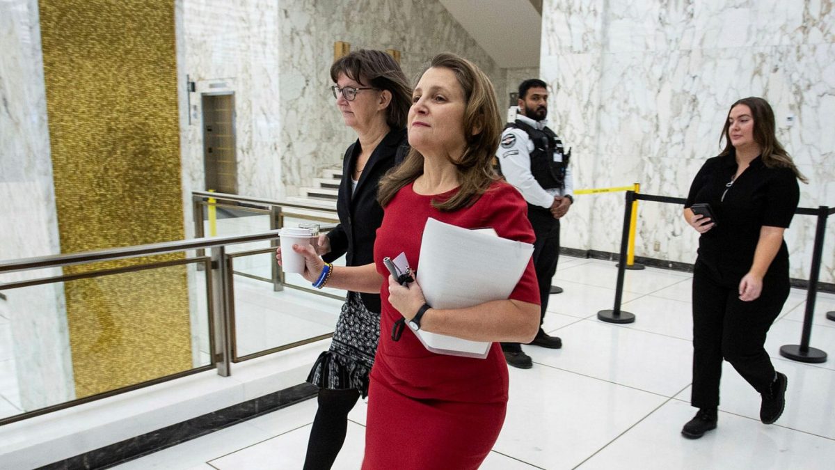 Experts say government has a key role to play protecting crypto investors  from bad actors - The Hill Times