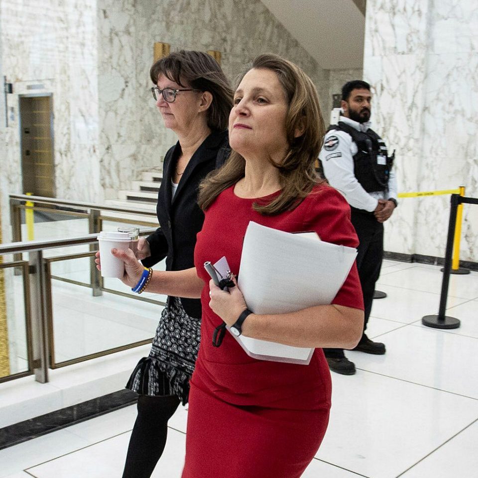 Experts say government has a key role to play protecting crypto investors  from bad actors - The Hill Times