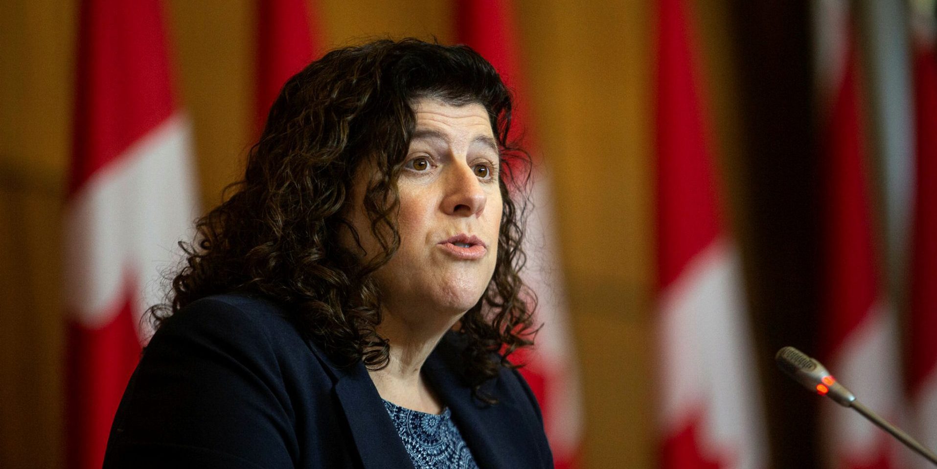 Auditor General Karen Hogan holds a press conference in Ottawa on  Nov. 15, 2022, after the November 2022 reports were tabled in the House of Commons. Andrew Meade