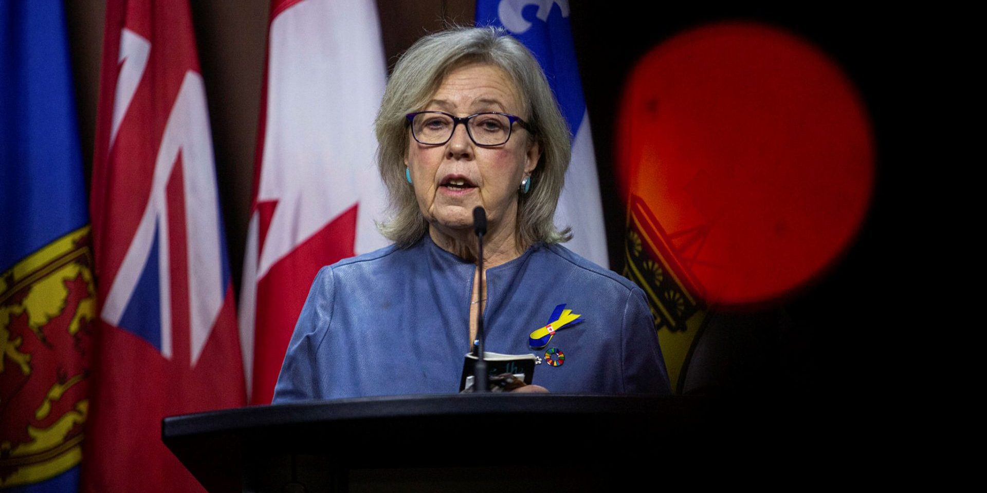 Green Party leader Elizabeth May holds a press conference in West Block on  Jan. 31, 2023. Andrew Meade