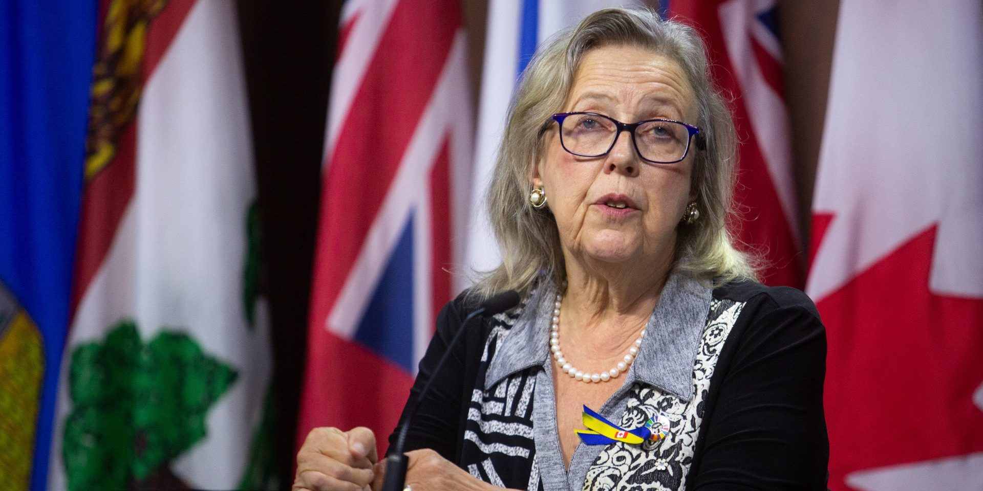Green Party leader Elizabeth May holds a press conference in West Block on Aug. 18, 2023, to speak about her examination of documents related to David Johnston’s report on foreign election interference. The Hill Times photograph by Andrew Meade