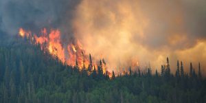 When will Canada embrace Indigenous-led wildfire solutions that we know work?