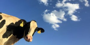 Why we must defend supply management