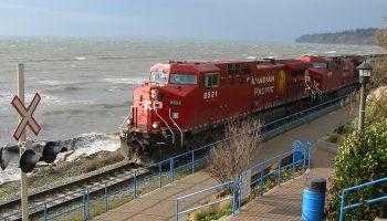 105735944_d8db464794_o