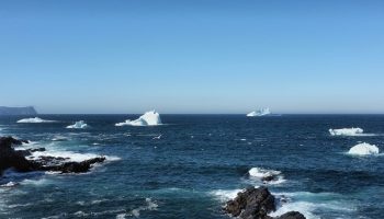 Icebergs visible from St. Johns, N.L. Photograph courtesy of Flickr