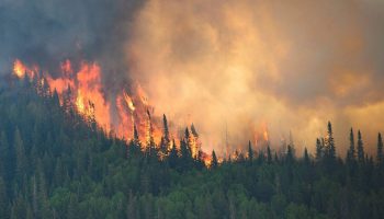 240228 Fire2.t65df9038.m2048.xxVWulcZ9