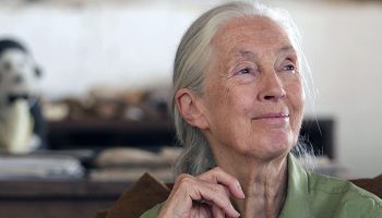 Jane Goodall, pictured here in 2019, died on Oct. 1 at the age of 91. She was also one of the greatest self-taught scientists in history, writes Gwynne Dyer. Photograph courtesy of Flickr/Simon Fraser University 