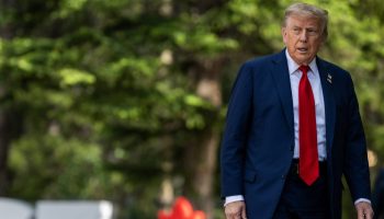 54598976154_7c73d642da_k