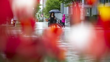 A woman hides from the rain under an umbrella as she walks down Elgin Street in downtown Ottawa on May 14, 2024. Andrew Meade