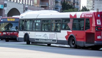 OCTranspo busses drive along Scott and Holland Streets near the Tunney’s Pasture OCTranspo Station on  Sept. 17, 2024. The Hill Times photograph by Andrew Meade
