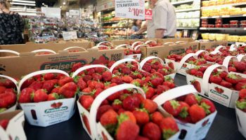 568A9819.t5b6c8a57.m2048@0.xx3IjlATL