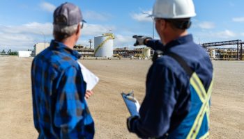 Blurred Field Workers Pointing to Plant