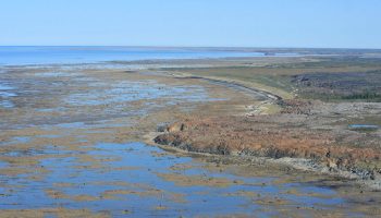Hudson_Bay_Shoreline_-_Churchill,_Manitoba_(39488969890).t68657ef4.m2048@0.xnnLJil5D