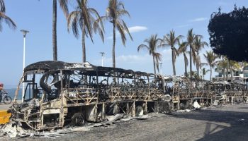 IMG_5825-e1771878352813-1024x512