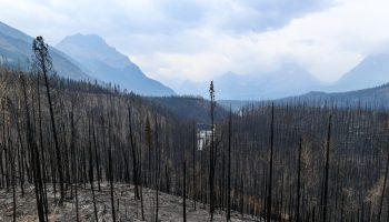 Jasper National Park