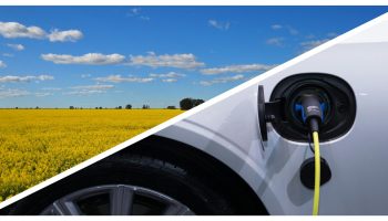 MixCollage-24-Oct-2025-02-26-PM-9556 MixCollage-24-Oct-2025-02-26-PM-9556