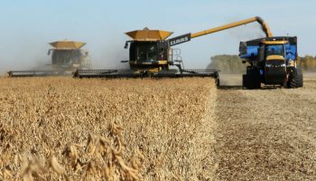 Soybean harvest Manitoba.t68ee84f0.m2048.xk7WQoUUD Soybean harvest Manitoba.t68ee84f0.m2048.xk7WQoUUD