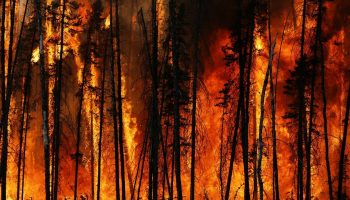 Wildfire2016.t671a53fb.m2048@0.xkG3ijrVi