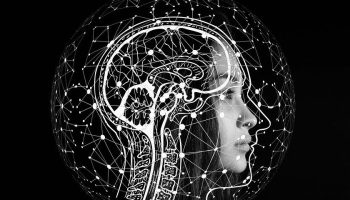 Image courtesy of Gerd Altmann/Pixabay