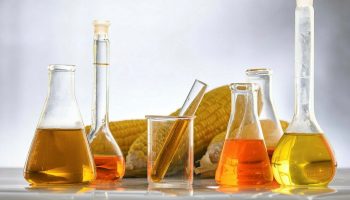 ckstockphoto-agriculture-4402811_1280.t69a6ef29.m2048.xJLEgVpcu