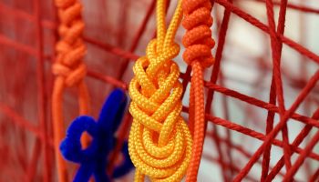 declan-sun-uDuVrWUkEPI-unsplash