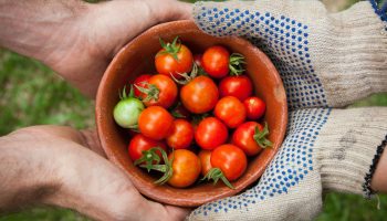 elaine-casap-qgHGDbbSNm8-unsplash