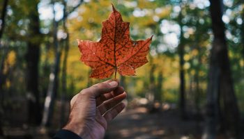 guillaume-jaillet-EIWCd0414xQ-unsplash