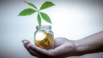 jinyun-xhqUamhJaMI-unsplash jinyun-xhqUamhJaMI-unsplash