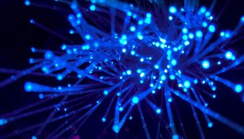 jj-ying-8bghKxNU1j0-unsplash jj-ying-8bghKxNU1j0-unsplash