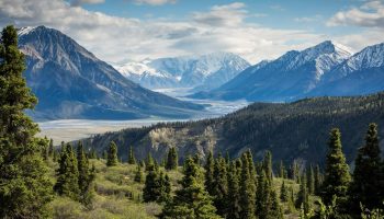 kalen-emsley-Bkci_8qcdvQ-unsplash