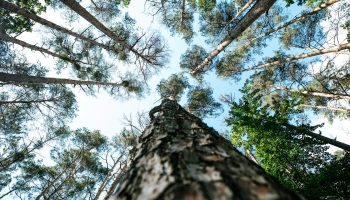 markus-spiske-Y-YaTBtNzKo-unsplash