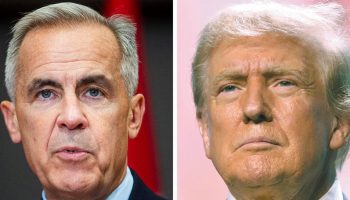 mashup carney-trump roche