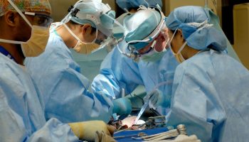 Unsplash photograph by National Cancer Institute