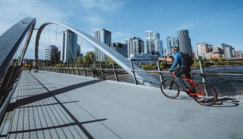 pexels-lisa-simpson-204166617-11632841