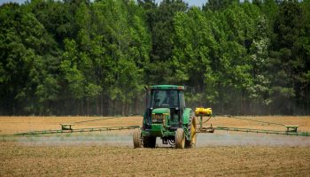 pexels-nc-farm-bureau-mark-2889442.t699483c0.m2048.xyKRbyFbW