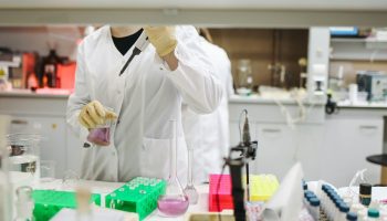 pexels-polina-tankilevitch-3735769