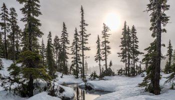 pexels-souvenirpixels-1552212