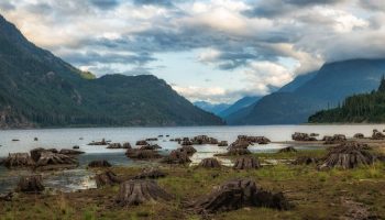 pexels-souvenirpixels-3555988