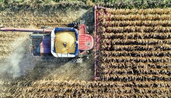 pexels-tomfisk-10838605.t69a6eb0b.m2048.x2NDIY4Cl