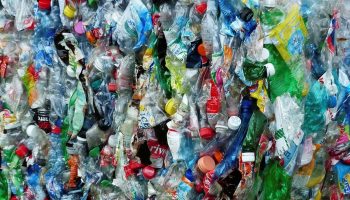 plastic-bottles-115082_960_720.t660e8d74.m2048.xYjtp2-Dk