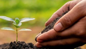 soil-8166778_1280.t67d0401b.m2048.x__6IrKD5