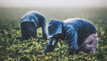 tim-mossholder-Kx060cRsmt0-unsplash