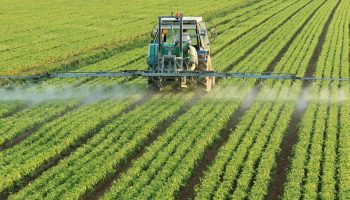 u_wqqh87ok4g-agriculture-8030874_1280.t69a7375a.m2048.xhd9zJeW-